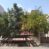 BAHÇELİEVLER MAHALLESİ SATILIK 3 DAİRE MÜSTAKİL EV