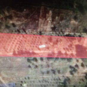 NİGDE ÇAMARDI BADEM DERE SATILIK BAHÇE