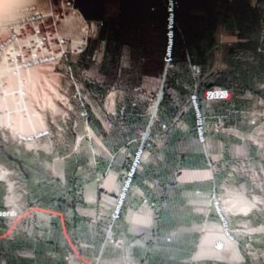 NİGDE ÇAMARDI BADEM DERE SATILIK BAHÇE