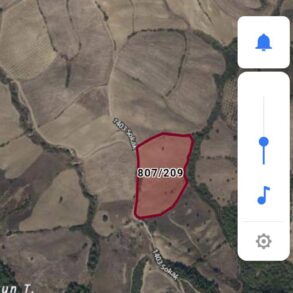 İMAMOGLU PEKMEZCİ MAHALLESİ SATILIK TARLA