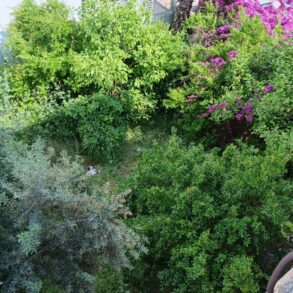 NARLICA MAHALLESİ CUMAPAZRI CİVARINDA SATILIK MÜSTAKİL EV 2,5 KAT