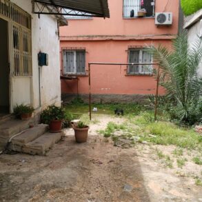 YÜREGİR SERİNEVLER MAHALLESİ DEVLET HASTANE CİVRINDA